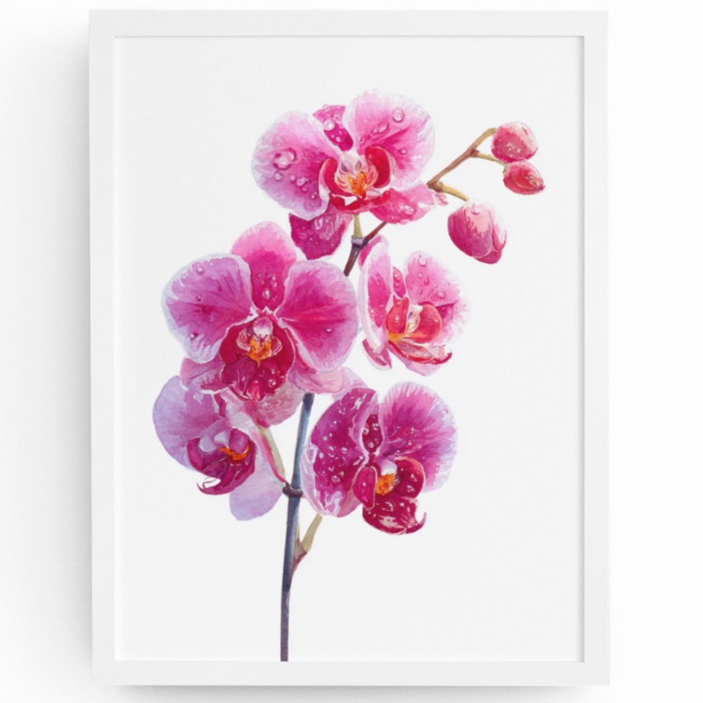 Watercolor Pink Orchids Wall Art Print Unframed - Elegant Floral Serenity